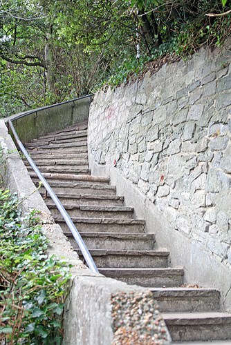 Steps